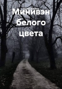 Минивэн белого цвета