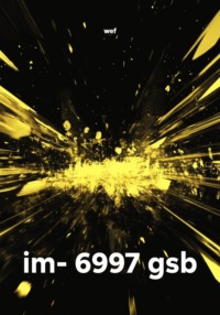 im- 6997 gsb