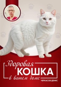 Здоровая кошка в вашем доме