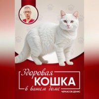Здоровая кошка в вашем доме