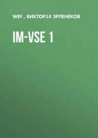 im-vse 1