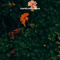 Папа, ты гордишься мной?