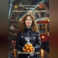 Двери закрываются или станция метро Новогодняя