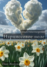 Нарциссовое поле