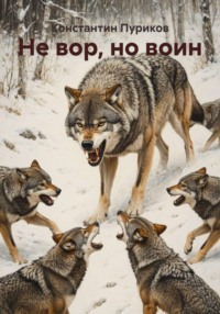 Не вор, но воин