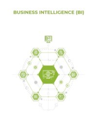 Business Intelligence (BI)
