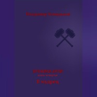 Хроники Арли. Книга 4. Я мудрец