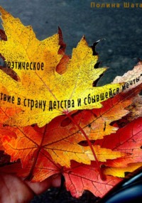 «Большое поэтическое путешествие в страну детства и сбывшейся мечты»