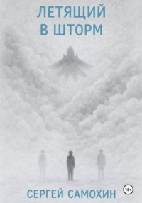 Летящий в шторм