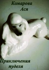 Приключения пуделя