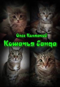 Кошачья банда