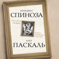 Алгебра любви. Разум поверяет чувства