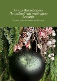 Последний час уходящего декабря. История одной предновогодней встречи