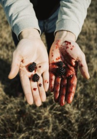 Ежевичный пирог