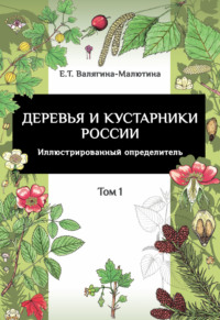 Деревья и кустарники России. Иллюстрированный определитель. Том 1