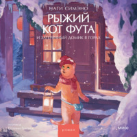 Рыжий кот Фута и затерянный домик в горах