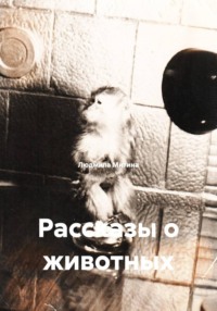 Рассказы о животных