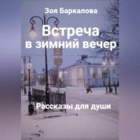 Встреча в зимний вечер