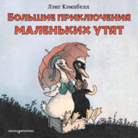 Большие приключения маленьких утят