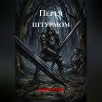 Перед штурмом