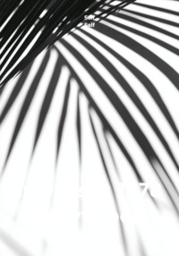 im - jdshc 7778 soavt book