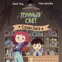 Магазин теней «Лунный свет». Книга 1. Стражи Света