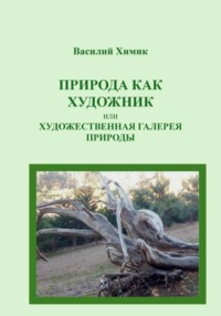 Природа как художник, или Художественная галерея природы