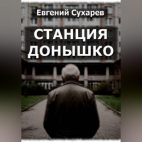 Станция Донышко