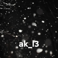 ak_l3