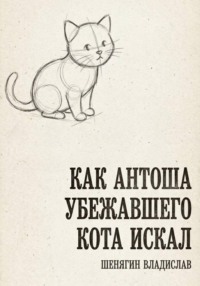Как Антоша убежавшего кота искал