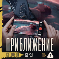 Приближение