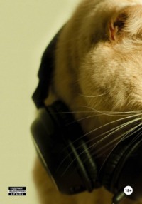 im - cl 8255 poglche 1504 premod