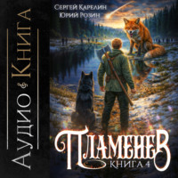 Пламенев. Книга IV