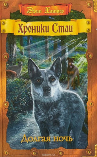 Долгая ночь