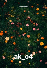 ak_o4