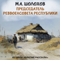 Председатель реввоенсовета республики