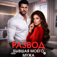 Развод. Бывшая моего мужа