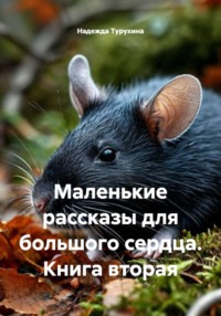 Маленькие рассказы для большого сердца. Книга вторая