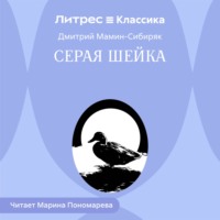 Серая Шейка