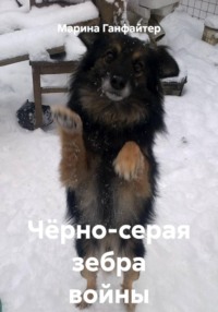 Чёрно-серая зебра войны