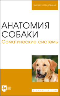 Анатомия собаки. Соматические системы. Учебник для вузов. 5-е издание, стереотипное
