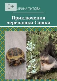 Приключения черепашки Сашки