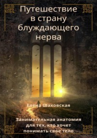 Путешествие в страну блуждающего нерва