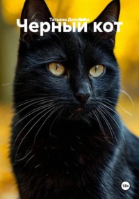 Черный кот