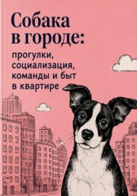 Собака в городе: прогулки, социализация, команды и быт в квартире