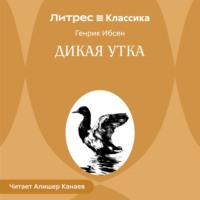 Дикая утка