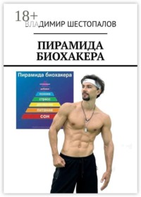 Пирамида биохакера