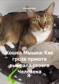 Кошка Мышка: Как гроза приюта выбрала своего Человека