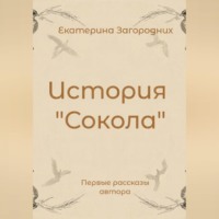 История "Сокола"
