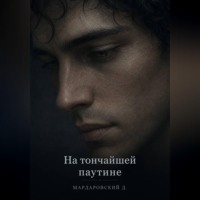 На тончайшей паутине